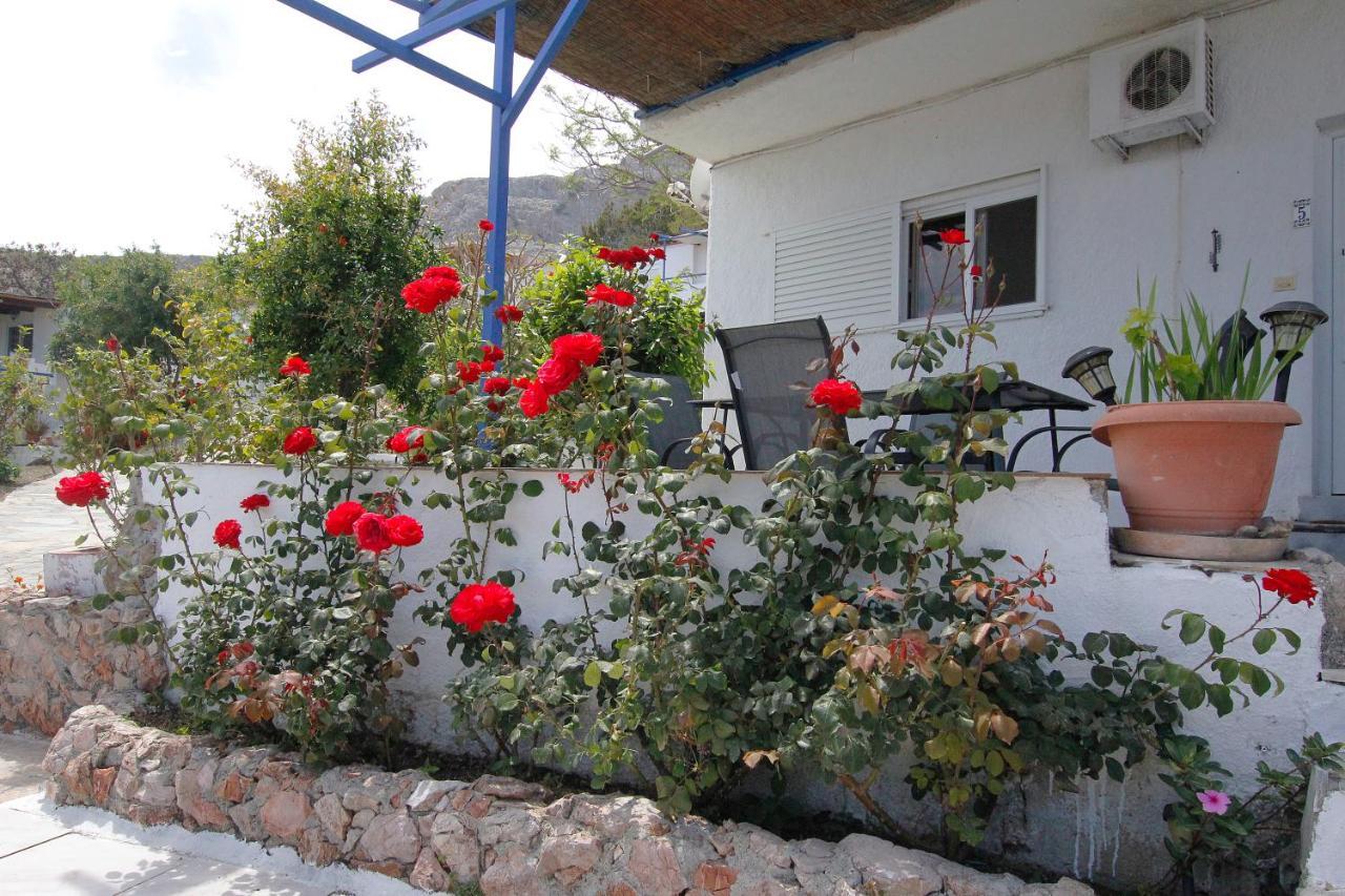 Paradis Studios Archangelos  Exterior foto