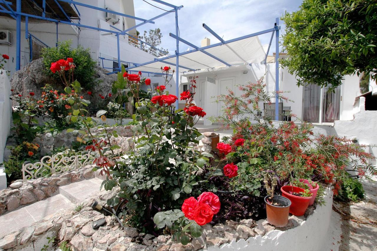 Paradis Studios Archangelos  Exterior foto